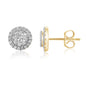 10K 0.46-0.50CT D-EARRINGS