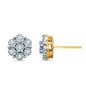 10K 0.24- 0.27CT D-EARRINGS